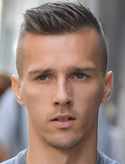 میسلاو اورسیچ