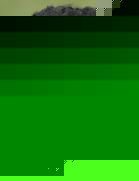 اوساما تنان