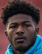 اینسلی میتلند-نیلز