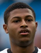 رایان بروستر