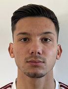 لوگان دلاوریه-شوبت