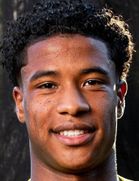 رایان فلامینگو