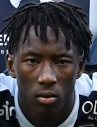 ویو کولیبالی