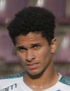 گابریل سیلوا