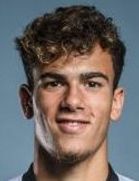 آندره آمارو