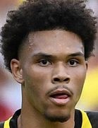 ننامدی کالینز