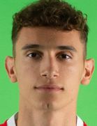 استفان میتروویچ