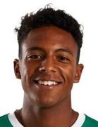 فابیو رونالدو