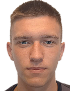 دنیس پیدگورسکی