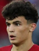 استفان باجتیچ