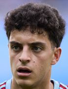 هوگو آلوارز