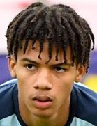 امیر ریچاردسون