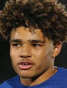 مایکل گلدینگ